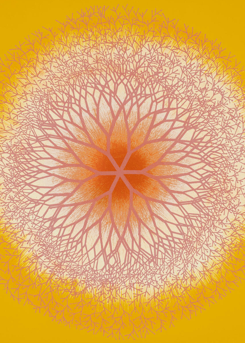Ruth Asawa, Desert Plant (TAM.1460), 1965