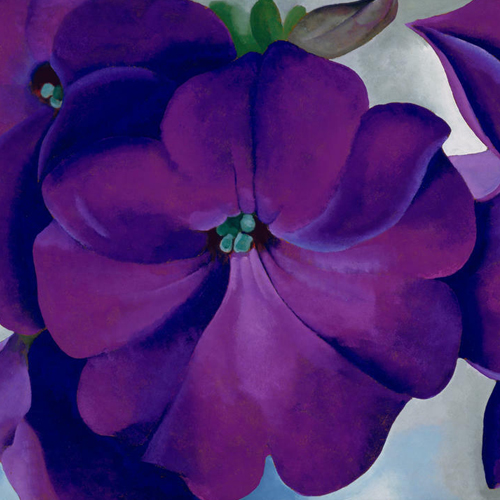 Georgia O'Keeffe, Petunias, 1925