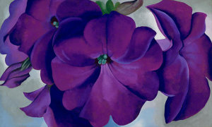 Georgia O'Keeffe - Petunias, 1925