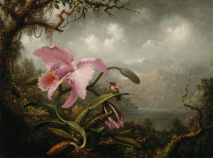 Martin Johnson Heade - Orchid and Hummingbird, ca. 1885