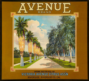 Anonymous - Avenue Brand, ca. 1920-1930