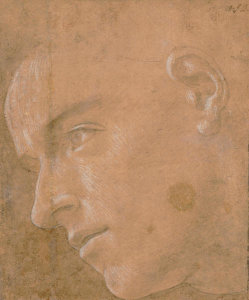Sandro Botticelli - Head of a Man in Near Profile Looking Left, ca. 1468–1470