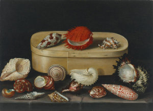 Jacques Linard - Still Life with Shells, ca. 1624