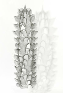 Ruth Asawa - Untitled (S.039), c. 1959-1960