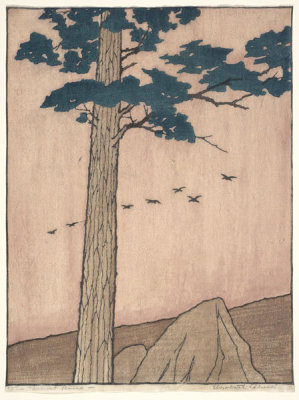 Elizabeth Colwell - The Great Pine, 1908