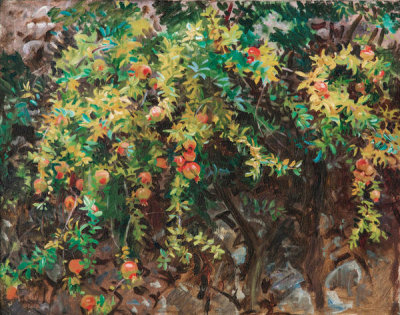 John Singer Sargent - Pomegranates, Majorca, 1908