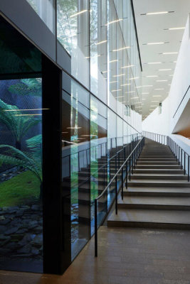 de Young - Fern Court Staircase